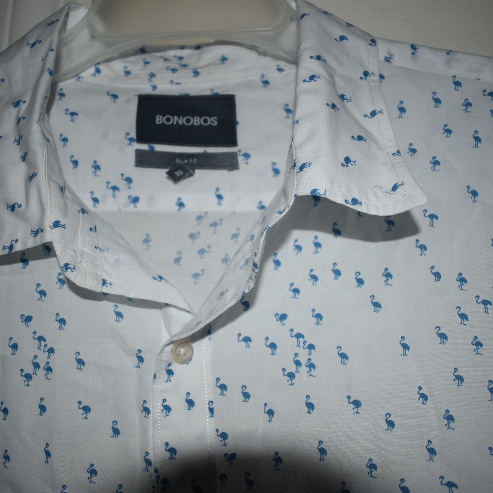 Bonobos - Picture 5 of 5